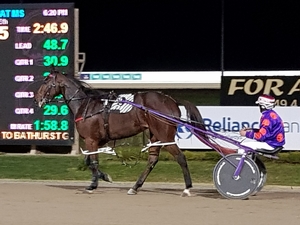 Royal Story gave Bernie Hewitt a treble at the Gold Crown Paceway on Wednesday night.