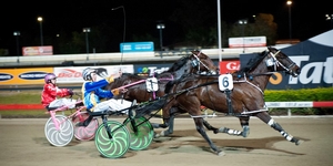 Im Themightyquinn winning the 2014 Garrard's Sunshine Sprint, is his Albion Track Record of 1:50.4 in jeopardy?