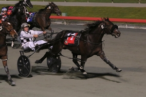 Colt Thirty One Proves Victorious In The Gr.1 $250,000 TAB Blacks A Fake At Albion Park