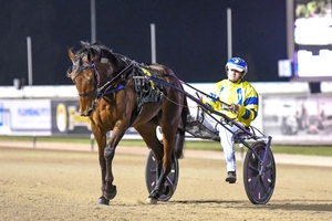 Top New South Wales trotter Tough Monarch will face another interstate Group 1 at Melton, Victoria, tonight (Saturday).
