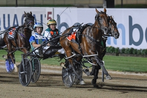 Expensive Ego produced a tough effort to win the Group 1 Chariots Of Fire at Tabcorp Park Menangle tonight.