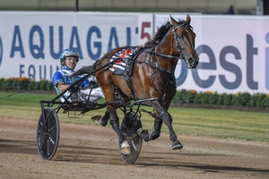 Defending Miracle Mile champion King Of Swing has drawn barrier six for the 2021 edition at Menangle on Saturday night.