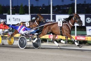 The Maori's Idol Memorial will see Sundons Gift return to Moonee Valley for the first time since his unforgettable Inter Dominion win