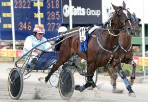 Broadway Play booked herself a trip to the Gold Coast with her Terang Cup win