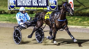 Trainer-driver Greg Rue will be looking to maintain his unbeaten record with his pacer Best Beau.