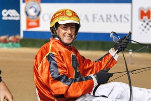 Freelance reinsman Glenn McElhinney has enjoyed success of late with promoting youngster Titian Raider.