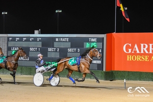 Majestic Man winning his Inter Dominion heat at Menangle during round one.