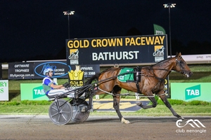 Expensive Ego is the current favourite to win the Inter Dominion Pacing Championship at Menangle on Saturday night.