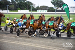 King Of Swing pictured during his Inter Dominion heat win at Newcastle last night.