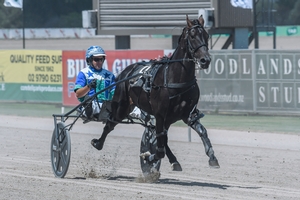 Muscle Factory looking for four in-a-row at Menangle tonight.