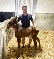 Jared Kahlefeldt with his foal.