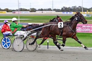 Elephant Rock wins at Pinjarra for father-son duo Jeff and Don Wegner