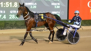 Punt Away and Jackson Painting after winning at Tabcorp Park Menangle on Saturday night.