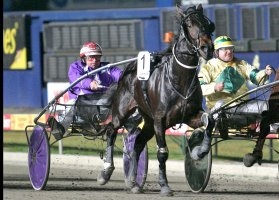 Chris Alford's Down Under Muscles is favourite for the Vicbred 3YO Trotters Final