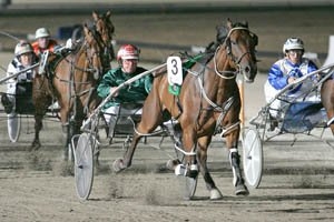 Penny Veejay, pictured winning his Inter Dominion heat, is Jayne Davies' hope in tomorrow night's Inter Dominion Pacing Grand Final