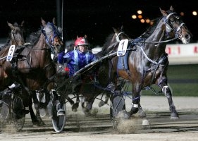 Perfect Gold Lombo and Kerryn Manning will combine in the Watpac ID08 Pacing Grand Final