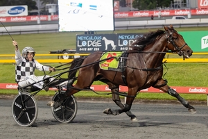 2023 Australian Harness Horse of the Year - Leap To Fame
