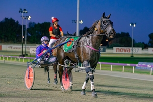 Minstrel will lead Greg & Skye Bond's charge for another Fremantle Cup victory