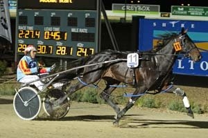 Champion four-year-old pacer Bonavista Bay is representing Victoria in the Taylor Mile on Friday night