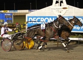 The Cranbourne track has hosted many great racenights in recent years.