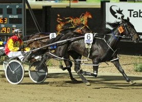 The Mister Zion fairytale continued on Friday night at Melton's Tabcorp Park