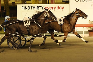 Washakie takes out the 2010 WA Pacing Cup