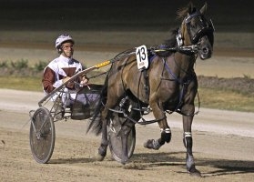 Karloo Mick is pictured here, warming up for a Shepparton Cup.