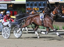 Reigning Victorian Horse of the Year Sundons Gift made a one-act affair of the Chris Howe Trotters Cup on Friday night