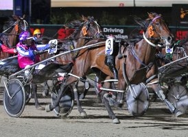 Jazzam will have to overcome a 20-metre handicap to win Friday night's SEW-Eurodrive The Gammalite 