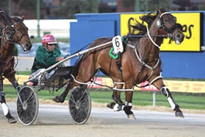 Penny Veejay will start a popular favourite in Saturday night's Apco Easy Shops Geelong Pacing Cup from gate two.