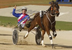 Let Me Thru streets his rivals to win last year's Breeders Crown final. He has the draw to repeat the dose in this Friday night's Vicbred final