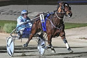 Broadways Best will kick off her 6YO season in Friday night's Golden Wattle Cup at Tabcorp Park