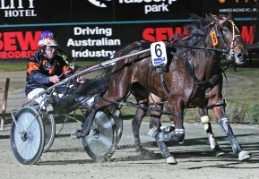 Aussie Made Lombo cuises past Beach Melody in last week's opening Vicbred fillies' semi final