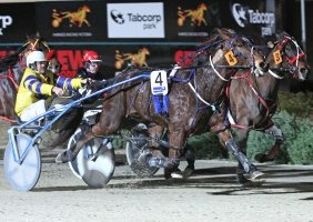 Lance Justice wins a Tabcorp Park Melton Cup heat aboard Franco Ambassador last Friday night. Jason Hackett will be in the cart in tonight's final with Justice to partner Hollywood Bromac