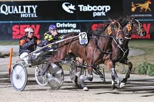 Bellas Delight was fourth to Aussie Made Lombo (above) in her Breeders Crown semi