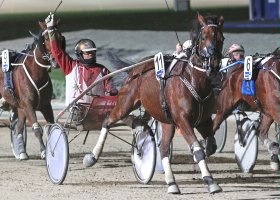 Chris Lang salutes as Sundons Gift becomes the first Australian-trained trotter to win $1 million