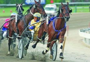 David Aiken, pictured here on Karlsruhe, had a night he will never forget at Shepparton on Wednesday.