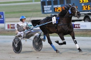 Inter Champion; New Zealand star I Can Doosit claimed the Inter Dominion Trotting Grand Final for Mark Purdon 