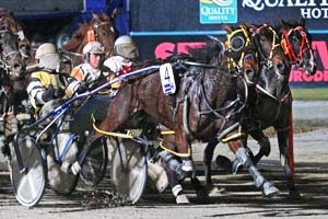 Gun reinsman Greg Sugars rates Bellas Delight the best of his Breeders Crown drives on Super Sunday at Melton
