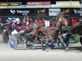 Catch Your Breath looks one of the leading chances in Friday night's Claiming Masters Final at Tabcorp Park