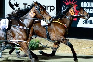 Shake It Mama has drawn awkwardly in her Blue Chip Farms Breeders Crown semi-final this Friday night