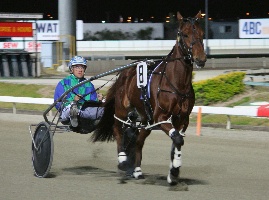 Warrior; The West Australian owned Washakie claimed the Gr.1 $200,000 Garrards QPC at Albion Park, the opening leg of the new Grand Circuit season.