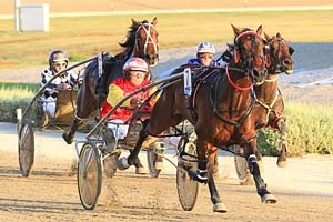 Chris Alford and Louvre win the Gold Chalice at Tabcorp Park