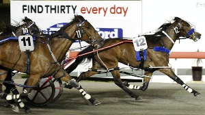 Chasing further Group One Glory; Mustang Mach will be heading to Auckland next month for the 4yo features.