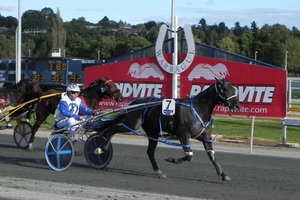 Jukebox Music was the winner of the 2012 Warragul Cup