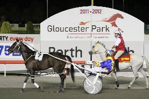 Inter Dominion champion Im Themightyquinn who will parade at Gloucester Park on WA Derby night 