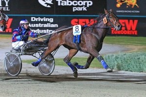 Brief Glance ambushed Elegant Image to win the Empire Stallions Vicbred Super Series Final for 4YO trotters