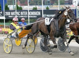 Baltic Ice, pictured winning on Hunter Cup Day, is engaged in the Watpac ID08 heats this weekend