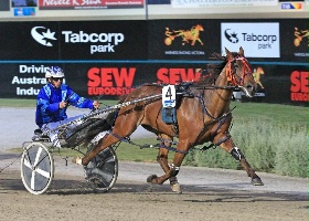 Afro Samurai: Pictured winning at Melton as a 3 year old
