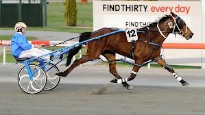 Im Victorious - 2014 WA Harness Horse of the Year